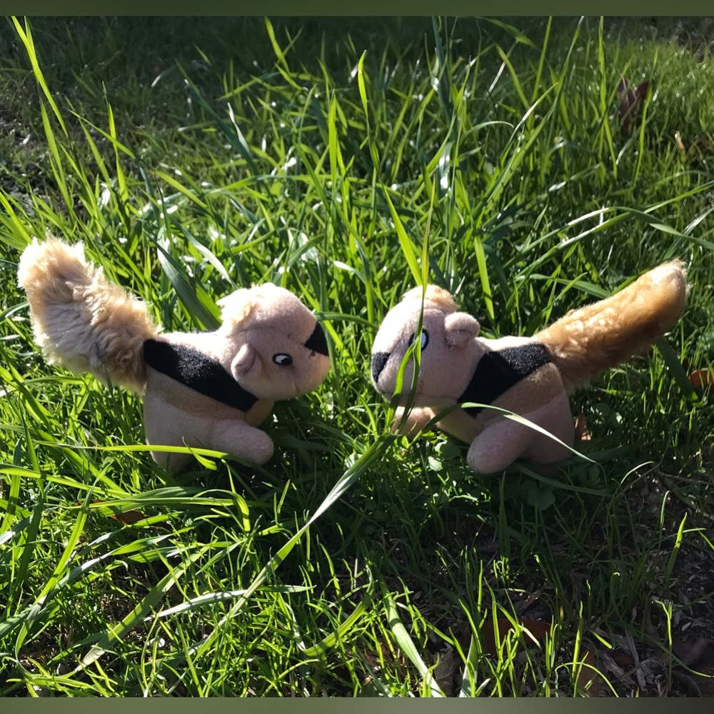 2/$10 NEW No Tag Small Dog Chipmunk Squirrel Squeaky Stuffed Plush Dog Chew Toy